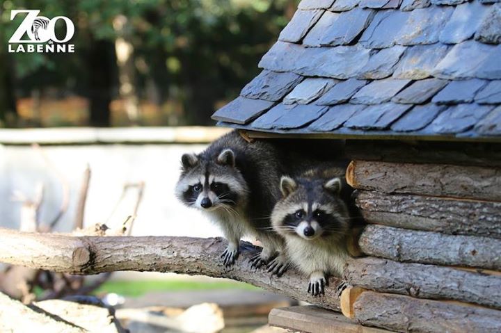 Zoo de Labenne Image
