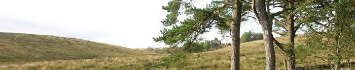 The Garsdale Bed & Breakfast Image