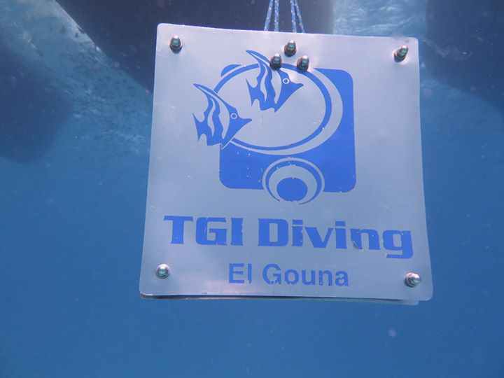 TGI Diving Red Sea El Gouna Image