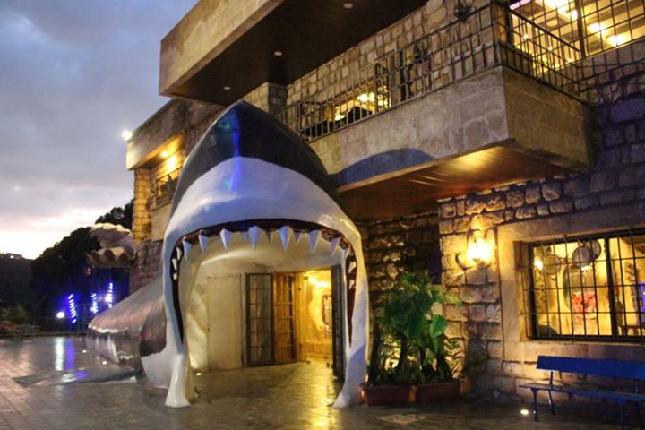 Lebanese Marine and Wildlife Museum Image