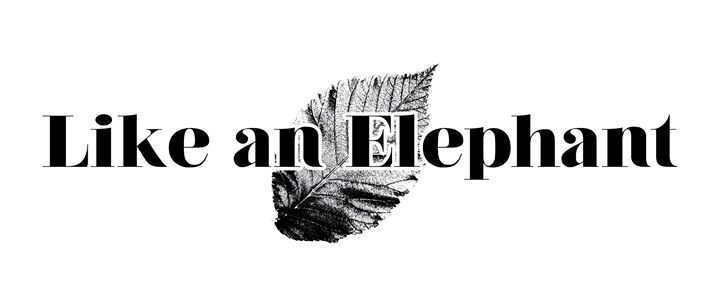 Like An Elephant Image