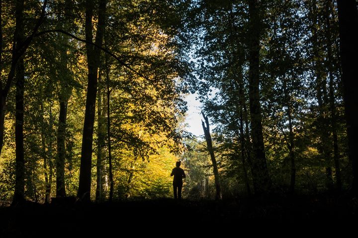 Parc naturel Régional de l'Avesnois Image
