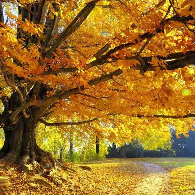 Casa rural La Cueva Image