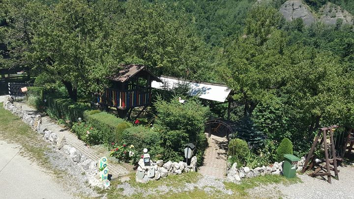 Pensiunea Delia Image