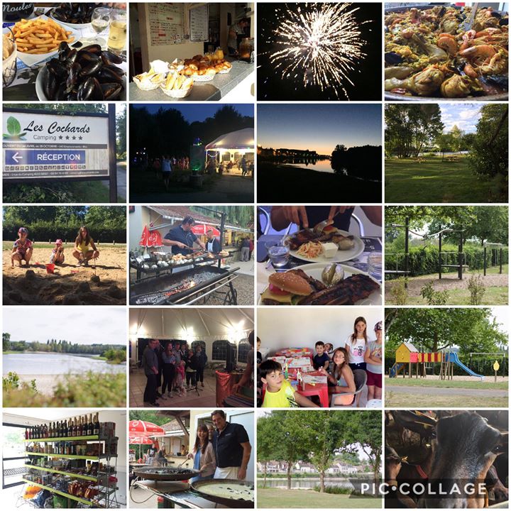 Camping Les Cochards, Saint Aignan Image