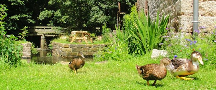 Camping Milin Kerhe Image