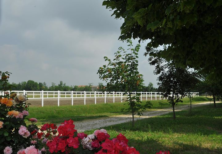 Centro Ippico Cavalieri della Rosa ASD Image