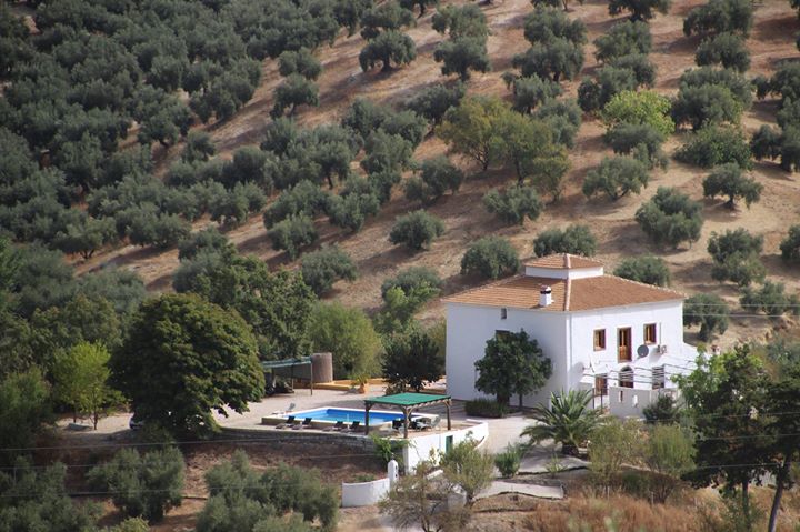 Casa El Castaño Bed & Breakfast, Martos, Spain. Image