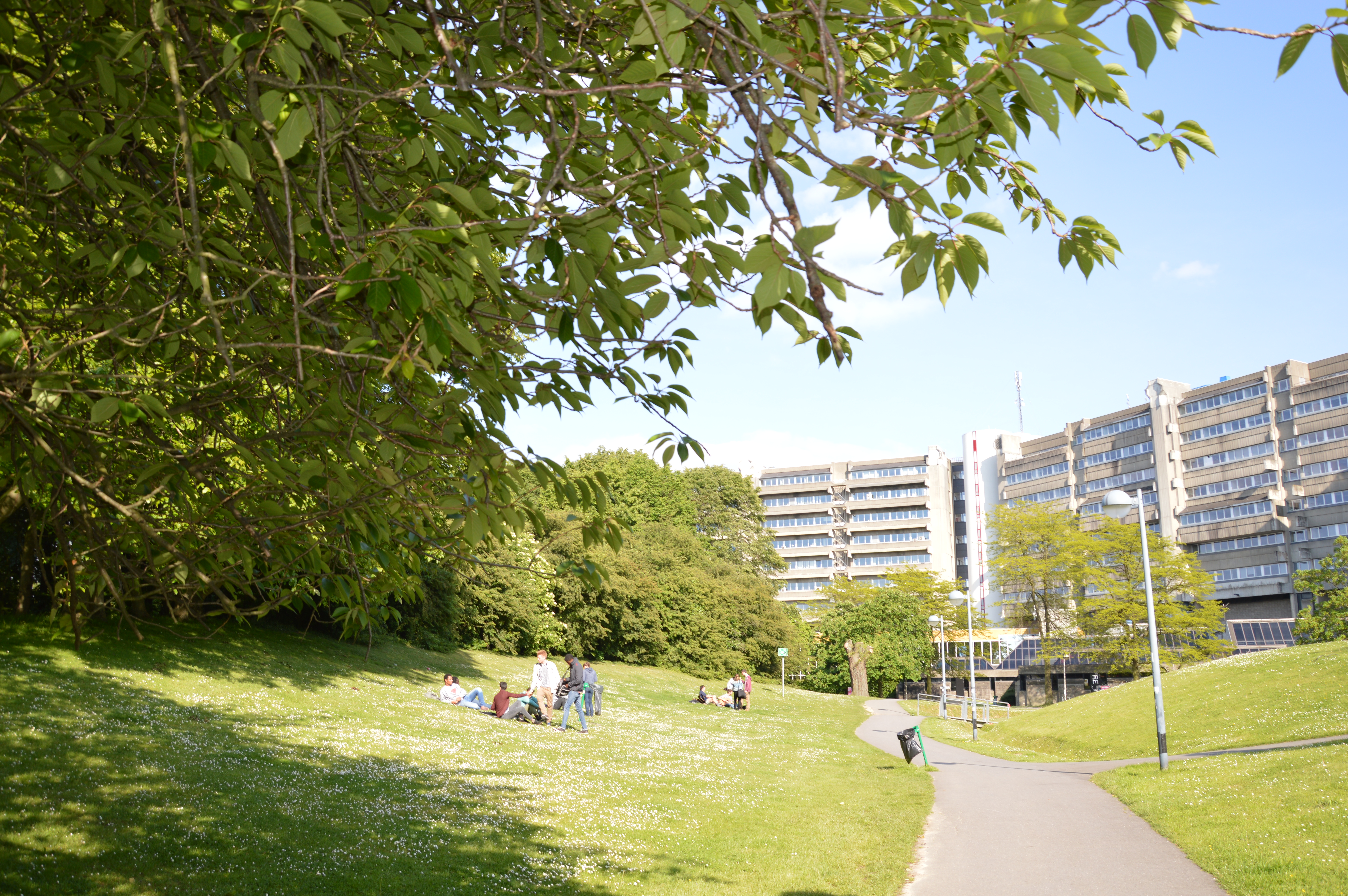 Campus de la Plaine, Brussels Image