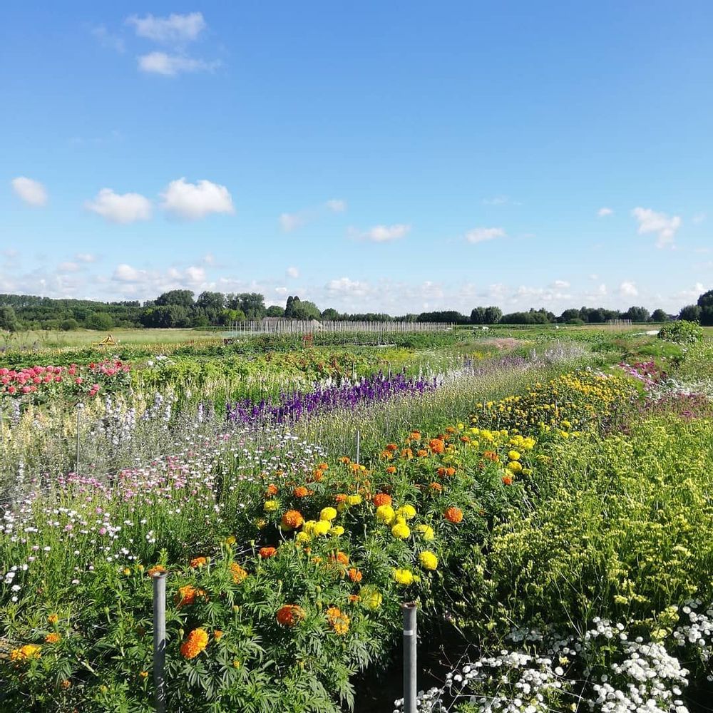 Visit Ferm LaarZemst in Zemst Live the World