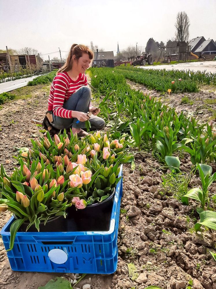 Visit Ferm LaarZemst in Zemst Live the World