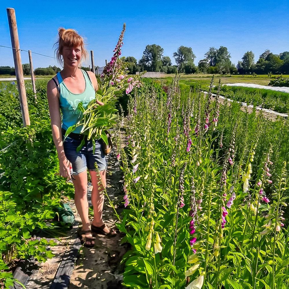 Visit Ferm LaarZemst in Zemst Live the World