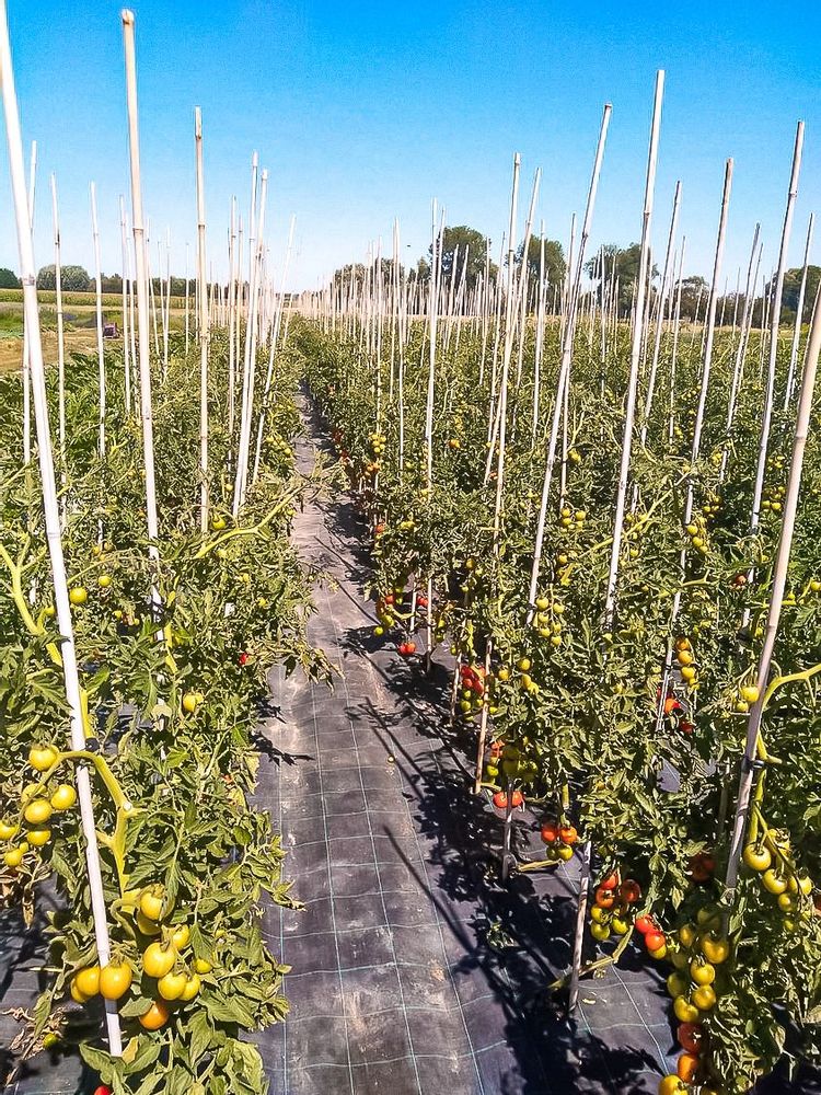 Visit Ferm LaarZemst in Zemst Live the World