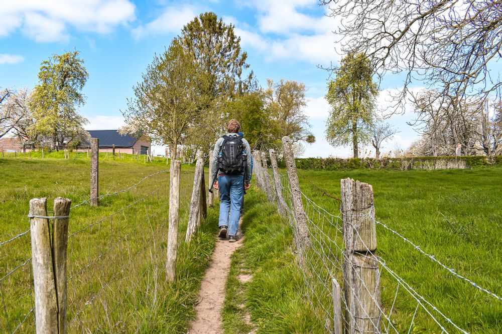 Male hiker walking through a field on a fenced walking path in Alden Bisen