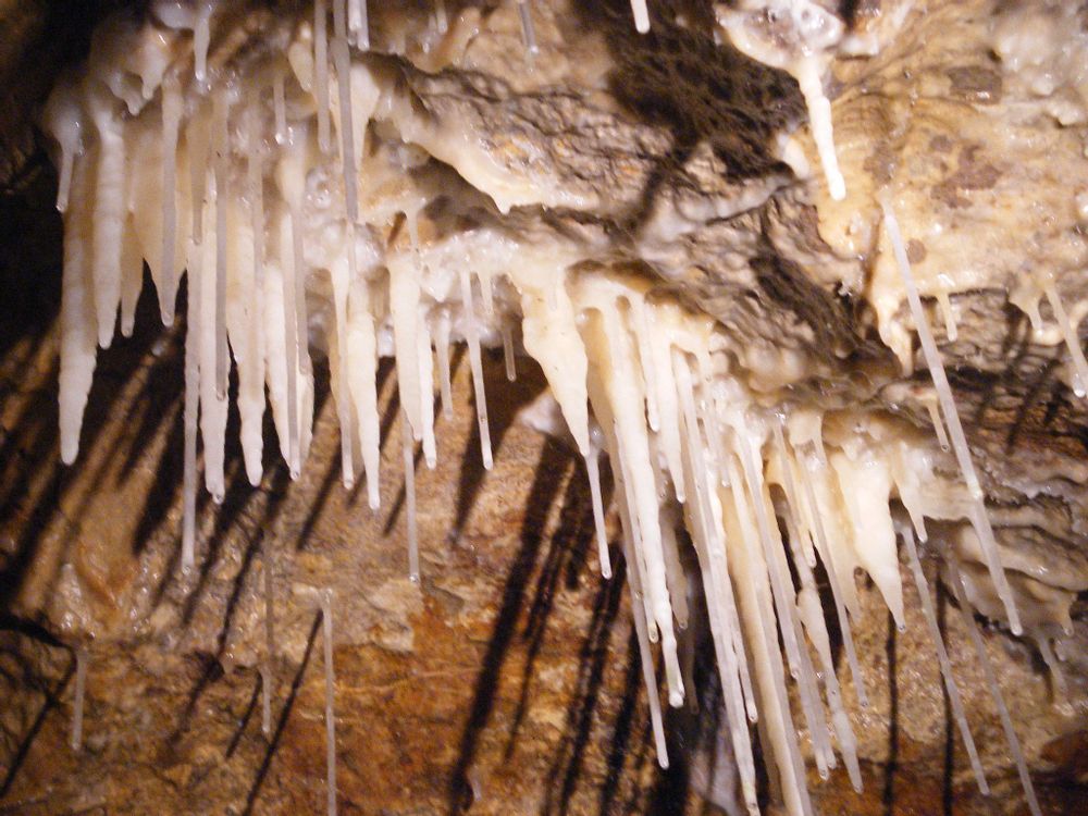 White stalactites hanging from the cave ceiling in the Caves of Hotton, Belgium