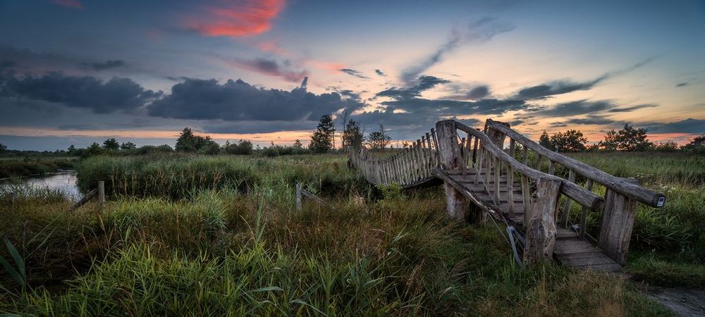 Visit Hageven De Plateaux Nature Reserve In Neerpelt Live The World visit-hageven-de-plateaux-nature-reserve-in-neerpelt-live-the-world