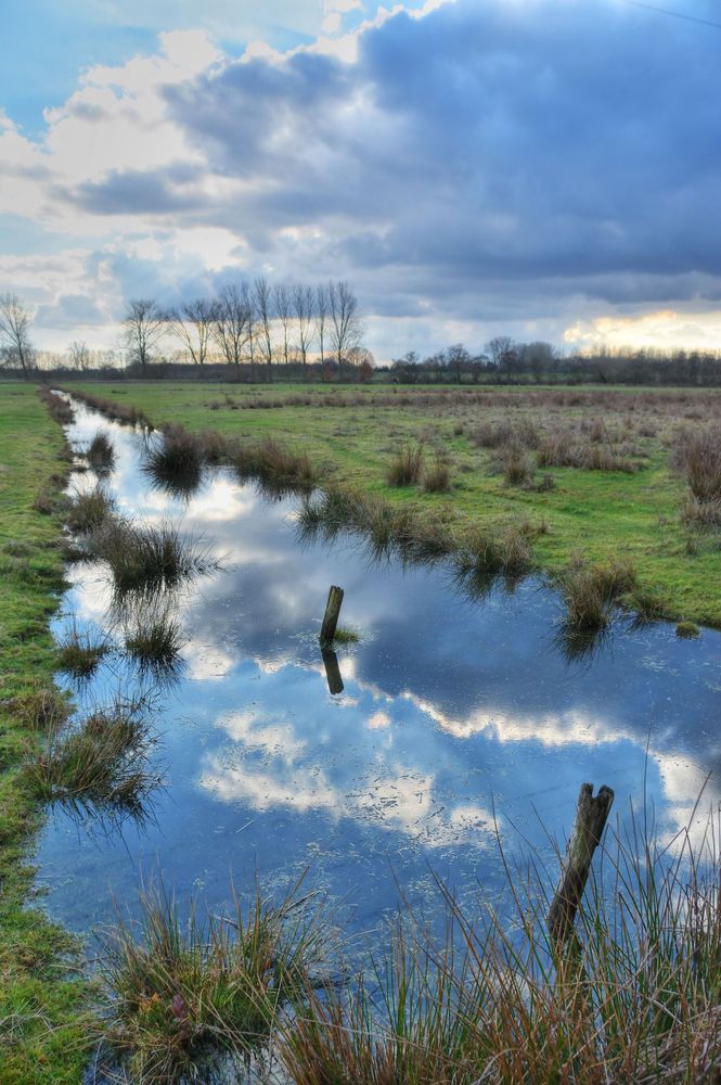The reflection of the sky on a small long body of still water