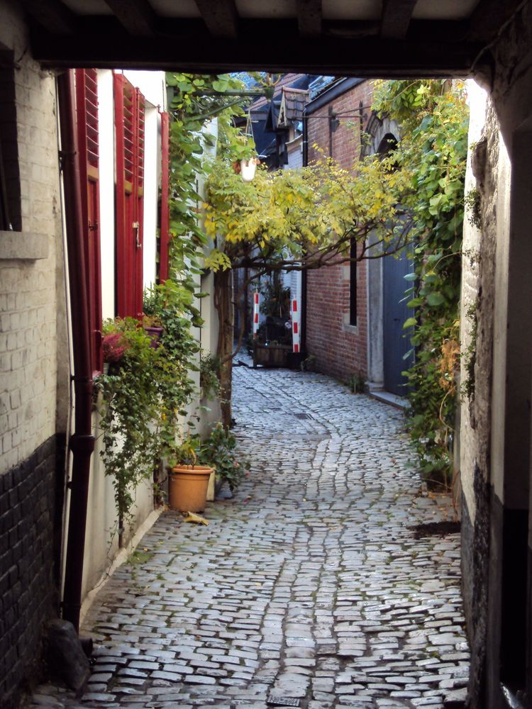 Visit Rue de la Cigogne in Brussels Live the World