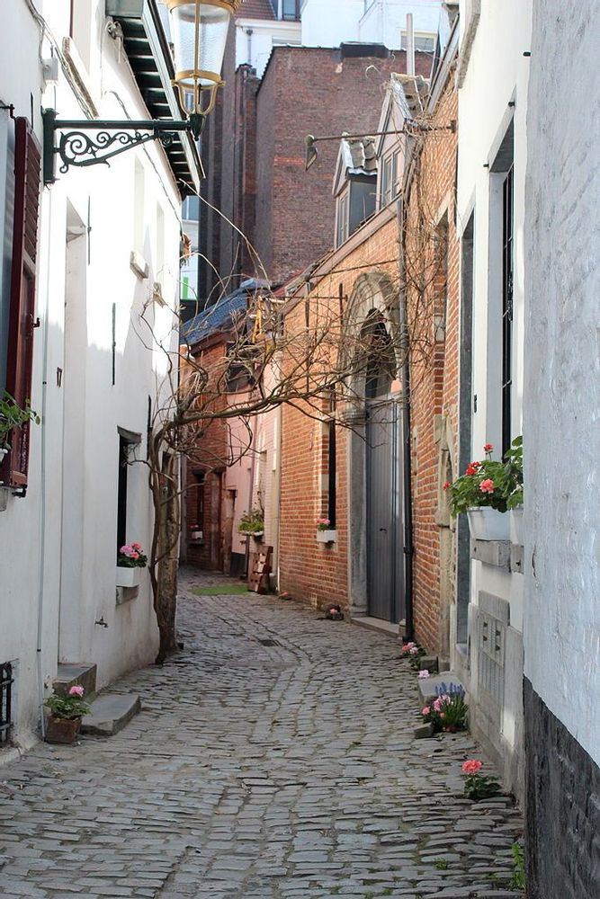 Visit Rue de la Cigogne in Brussels Live the World