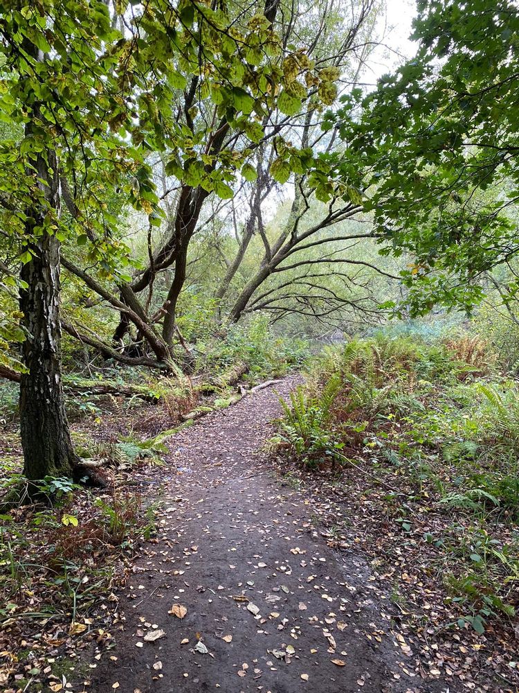 Part of the walking path trail along De Schorre park in Antwerp, Belgium