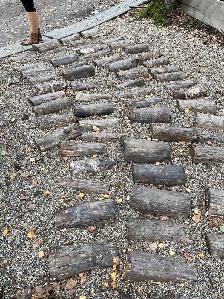Muddy bare feet at the end of the barefoot walking path trail in De Schorre park, Antwerp
