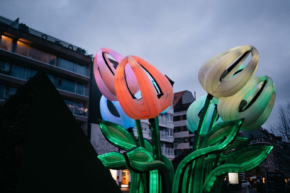 Flower art structure in a city street at the Light ART festival, Knokke-Heist, Belgium