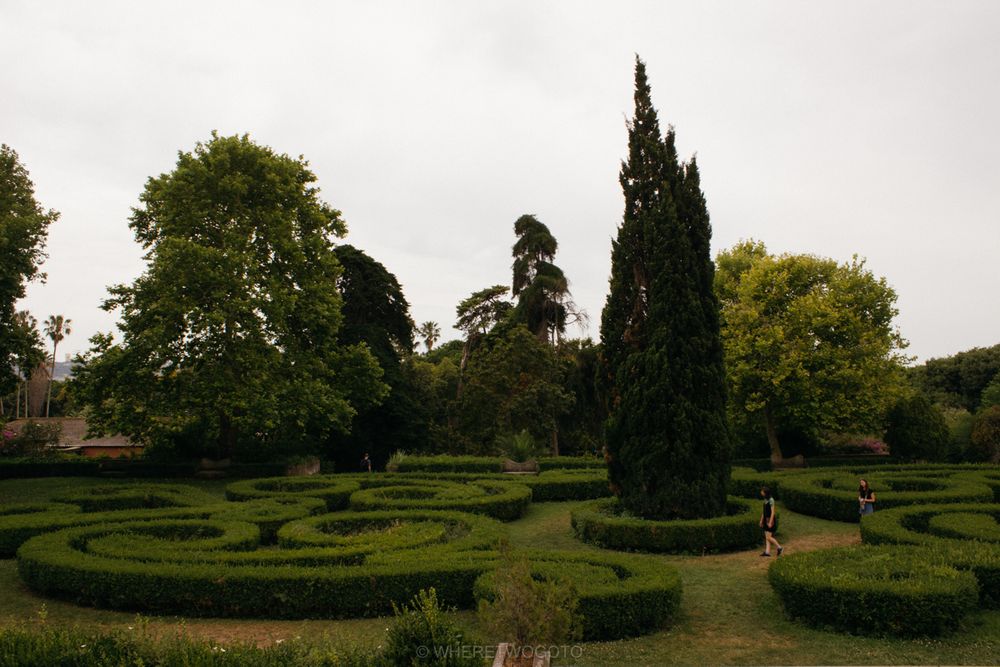 The Tropical Botanical Garden of Lisbon: a hidden green pearl