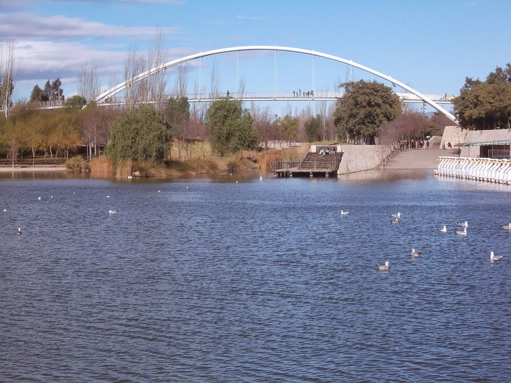 El Parque de Cabecera, Valencia
