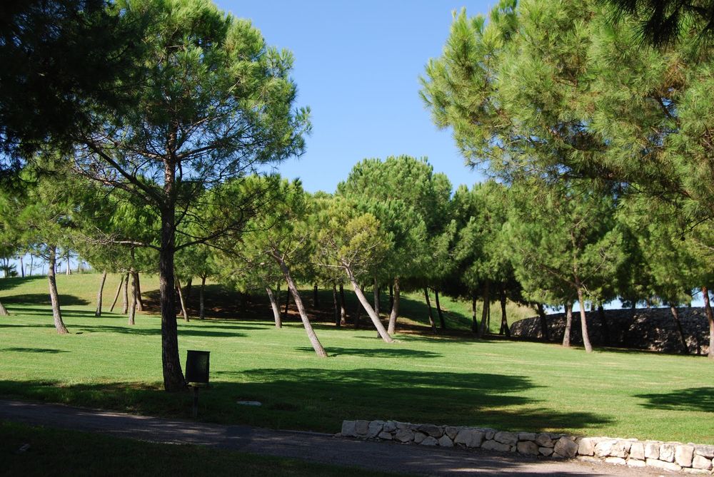El Parque de Cabecera, Valencia
