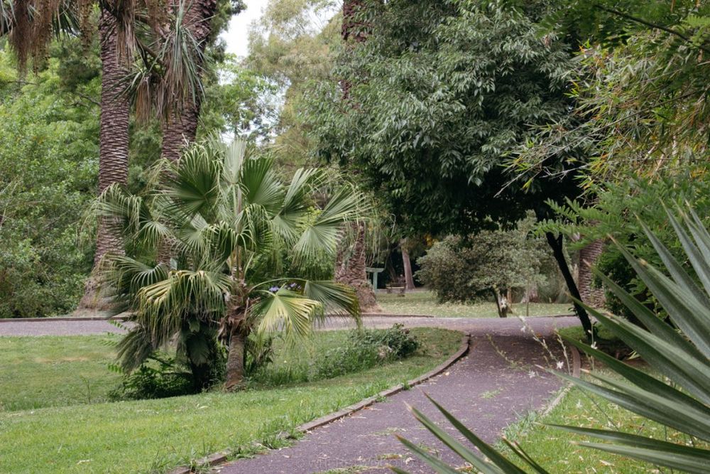 The Tropical Botanical Garden of Lisbon: a hidden green pearl