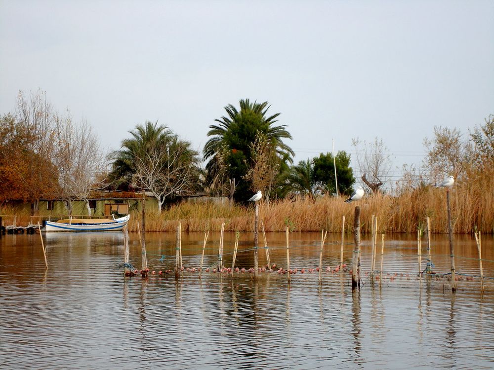 Embarcadero en la Albufera | Parc Natural de l'Albufera, El … | Flickr