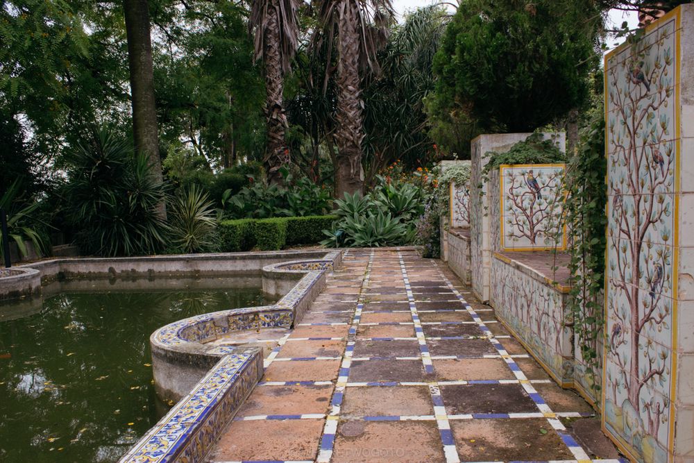 The Tropical Botanical Garden of Lisbon: a hidden green pearl