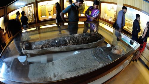 indian museum inside pictures