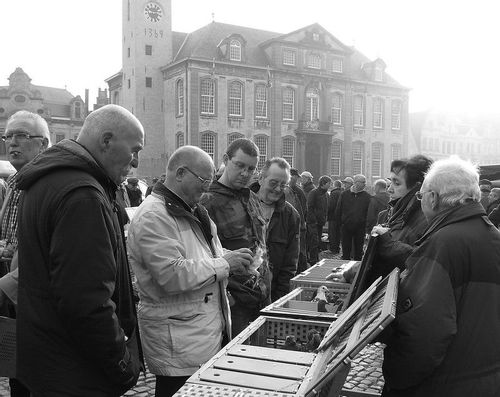 Shoppers browsing the pigeon market at Lier in the market square by the town hall