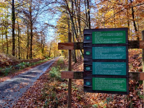 In front of a tree lined path is a wooden and green sign displaying information for hikers in French, Dutch, English and German.
