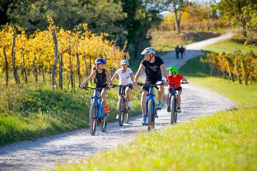A family biking through the vineyards with their Dimbikes rental.