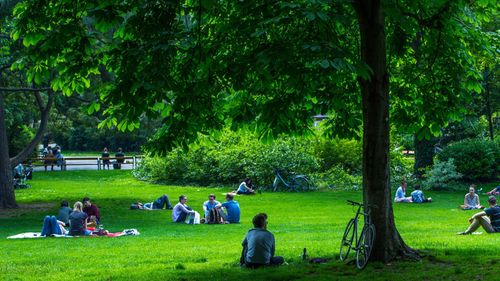 Braunschweig City Park (Stadtpark)