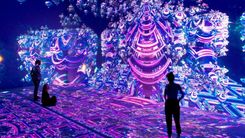 Only 2 hours from Tomorrowland! 10 places you should visit in